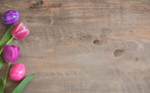 Spring Tulips and Easter Eggs on wooden background